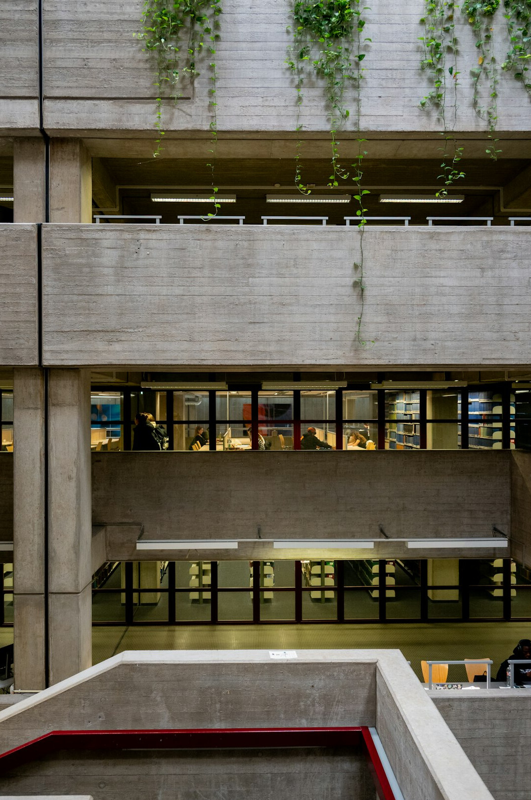 Rows of books in a university reading room