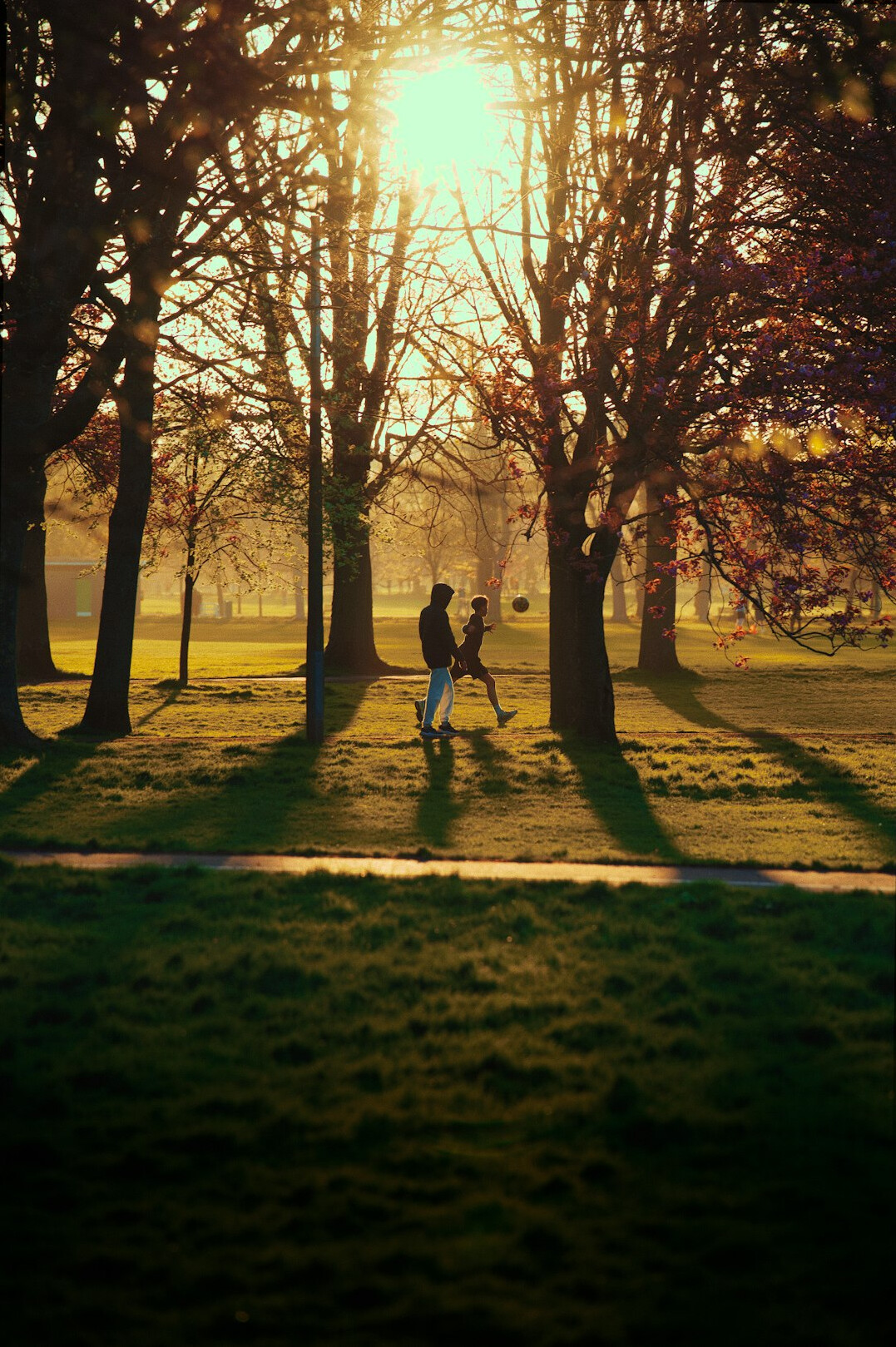 walking in park during sunset