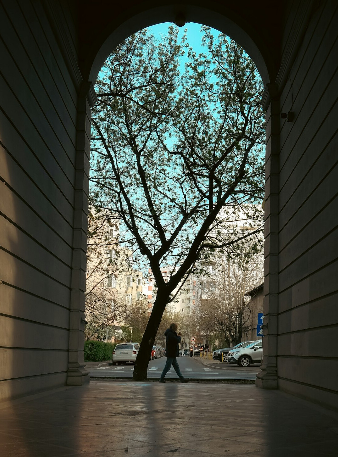 person walking in city street